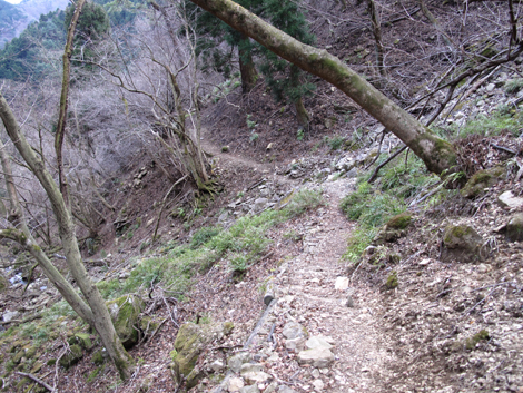 20170113hike (419)
